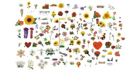 花 