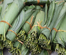 粽子叶
