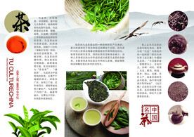 公司  三折页  宣传简介  