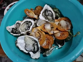 生蚝黄金贝