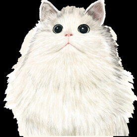 手绘卡通猫图片 