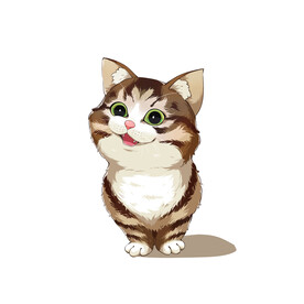猫