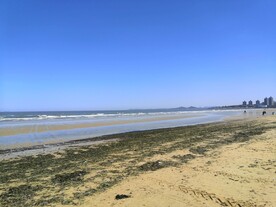 海边 