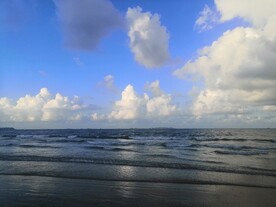 海天