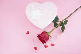 妇女节红色玫瑰花