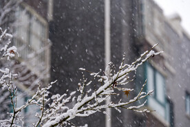 飘雪