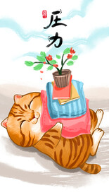 萌主猫            