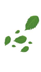 卡通会漂浮树叶装饰元素