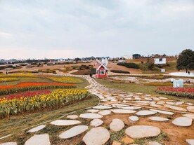 花田