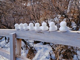 雪山之旅