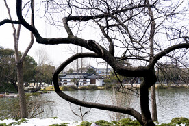 冬季扬州瘦西湖美景