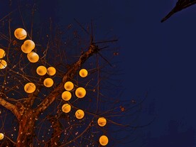 上海豫园元宵灯会花灯和树木