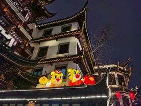 上海豫园元宵灯会老虎花灯
