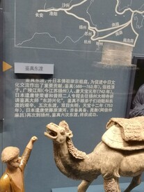 骆驼 鉴真东渡 中国大运河博物