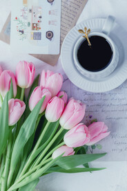 郁金香花束咖啡