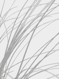 植物冲孔板背景纹理