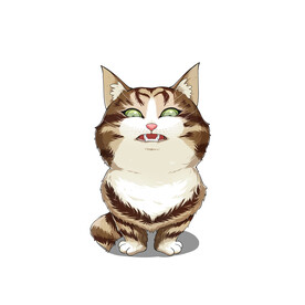 猫