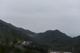 茶山
