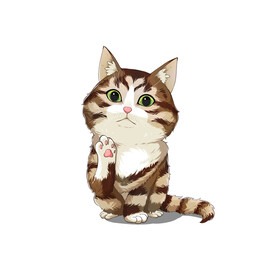 猫   