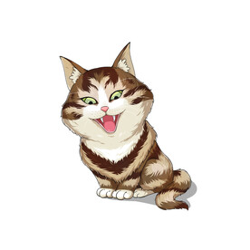 猫              