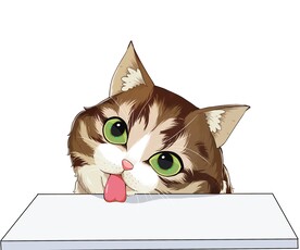 猫              