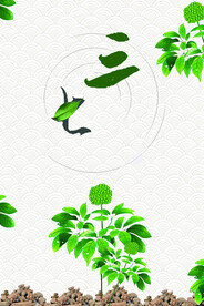 三七海报