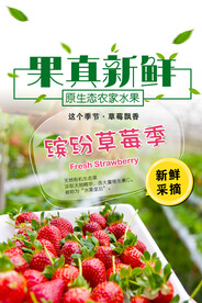 采摘草莓