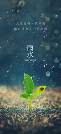 雨水降雨节气海报惊蛰春分