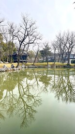 扬州美景 
