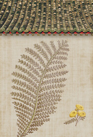 国画