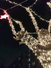 夜晚发光树串灯星星灯过年装饰树