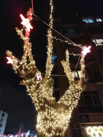 夜晚发光树串灯星星灯过年装饰树