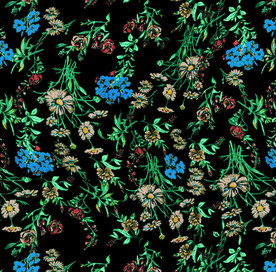 花 扫描图