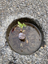 邂逅一抹希望