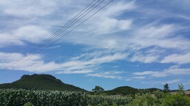 蓝天