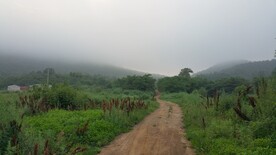 雾天山路