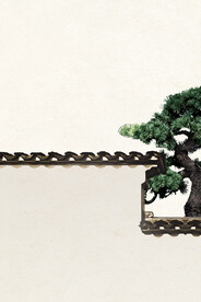 国画