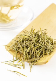 安吉白茶茶叶特写