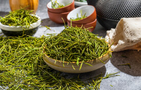 安吉白茶摄影素材