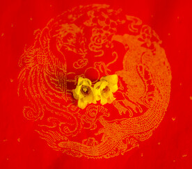 腊梅高清唯美大图 
