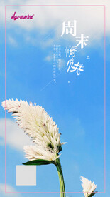 周末愉快