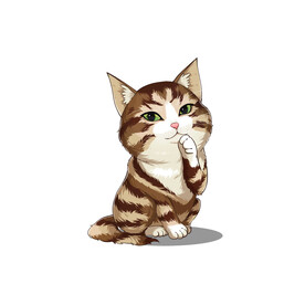 猫              