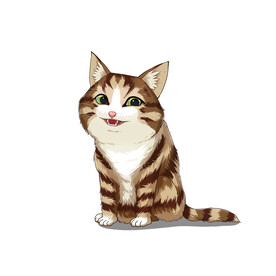 猫              
