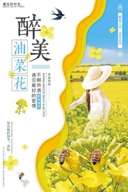 油菜花海报