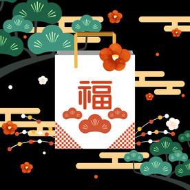2022虎年新年春节礼盒福袋