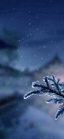 大雪