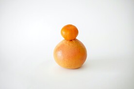橙子