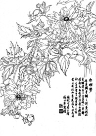 大理花