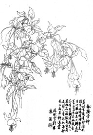 倒挂金钟