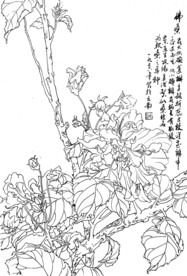 佛桑